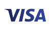 Visa Card Icon